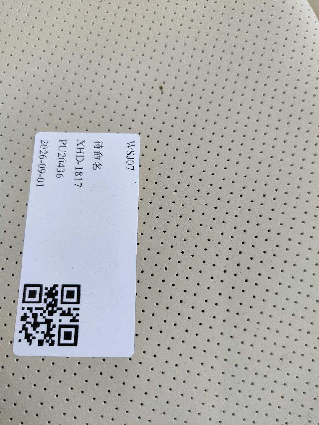 7107748610A1 后座椅靠背罩(右)