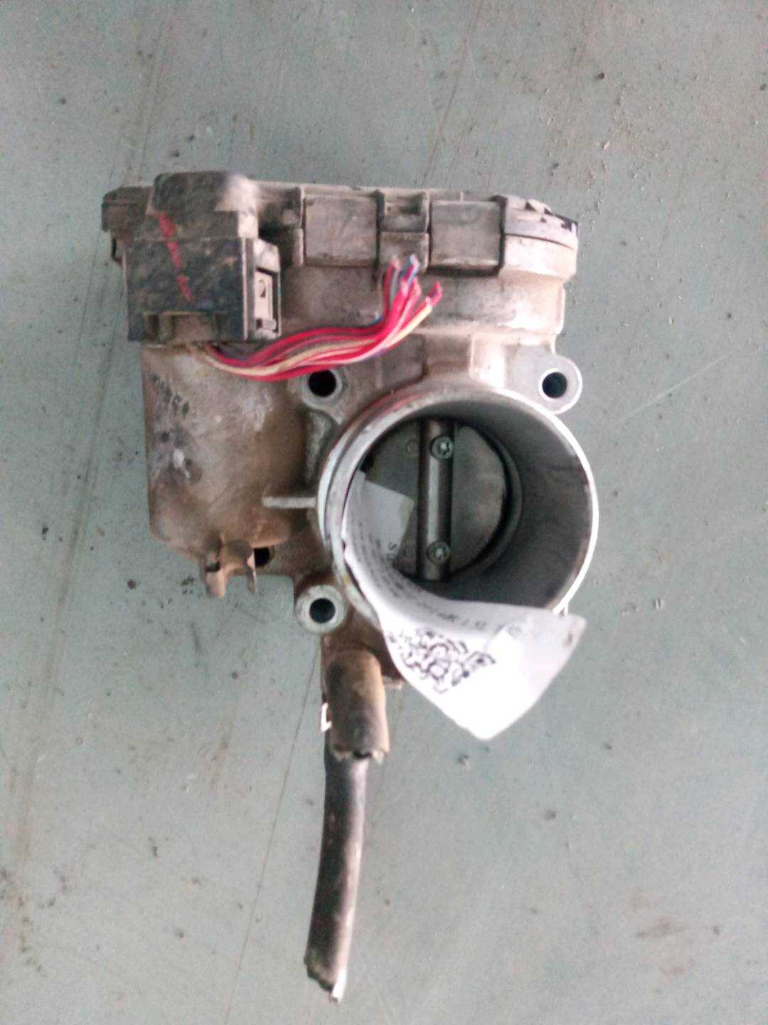 SW805305 Throttle Body Assembly