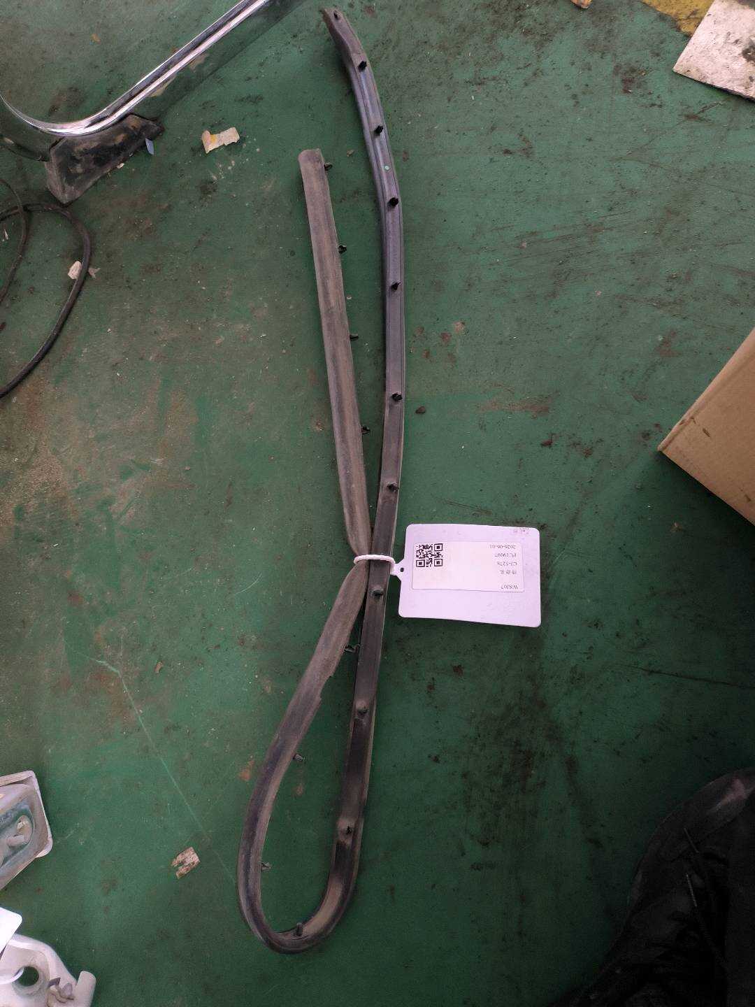 9674595080 Rear Door Seal Strip (Lower Left)